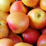 Apple, Jonagold COG 40lb