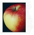 Apple, Valstar COG