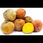 Beets, bulk gold COG 25 lb