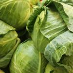 Cabbage, Green COG 40 lb