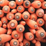 Carrots, Bagged COG 10, 5#