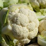 Cauliflower, White COG 20#