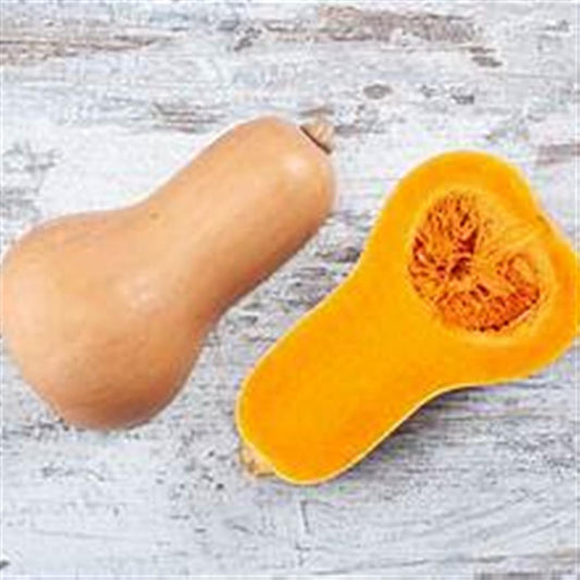 Winter Squash, Butternut COG 40lb