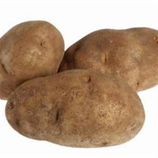 Potatoes, Russet COG 2 lb