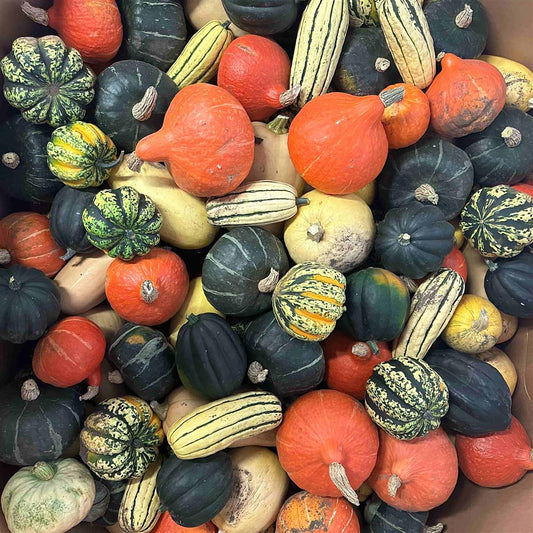 Thanksgiving Box