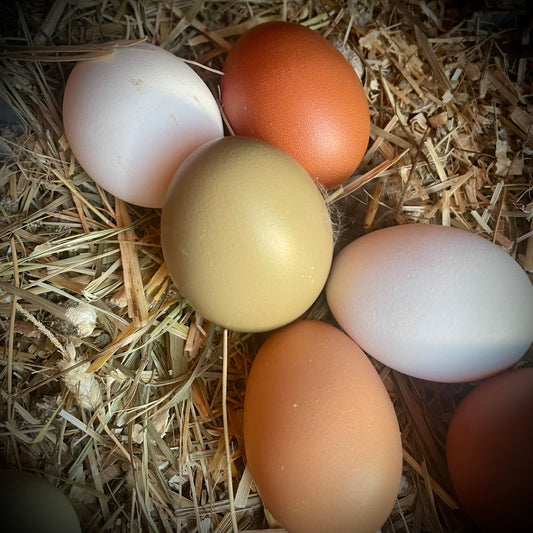 Eggs, Corn and Soy Free, 1 dozen